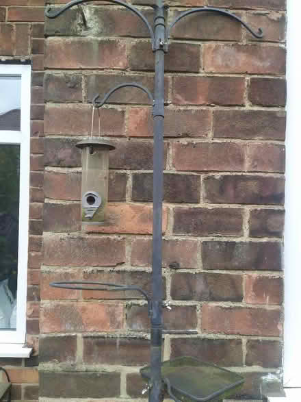 Photo of free Bird feeder (Harrogate HG2) #1