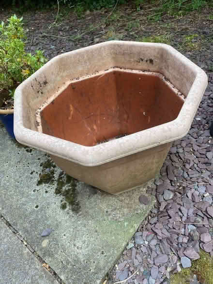 Photo of free Large plastic pot (Birchwood) #1