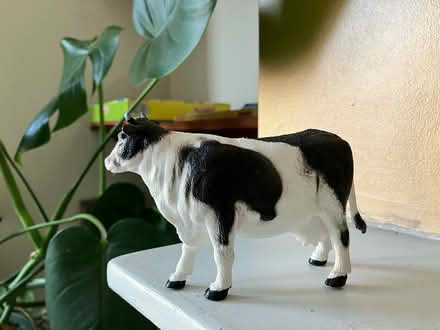 Photo of free A plastic cow (TN35 Ore) #1
