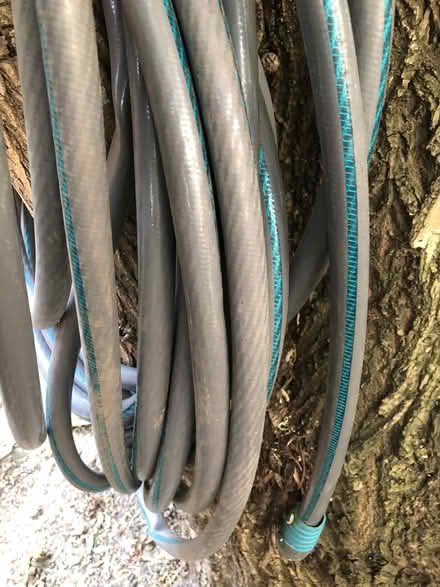 Photo of free Garden hose (Jane/Bloor) #1
