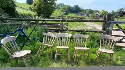 Photo of free Pine Dining chairs x 4 (Newcastle-under-Lyme ST5) #2