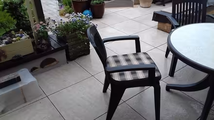 Photo of free Patio Table & Chairs Set (St Lawrence) #3