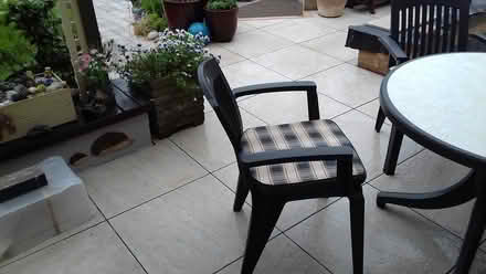 Photo of free Patio Table & Chairs Set (St Lawrence) #3
