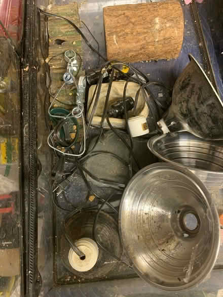 Photo of free Amphibian Terrarium (Frederick, MD) #4