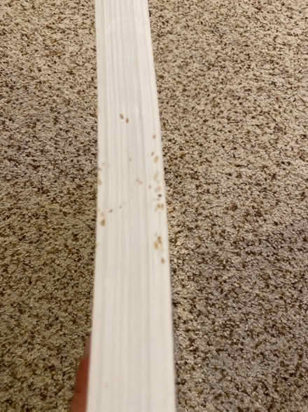 Photo of free Bike maintenance book (Vintage Hills, Pleasanton) #2