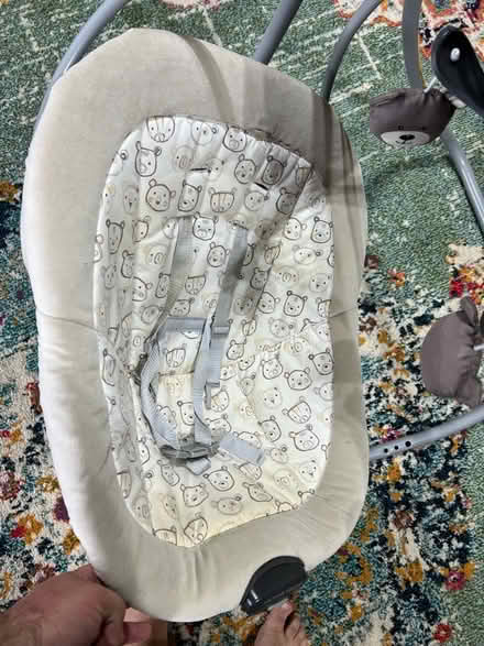 Photo of free Infant swing (Charlotte NC 28278) #2