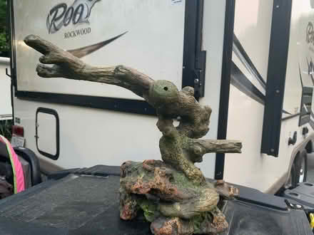 Photo of free Amphibian Terrarium (Frederick, MD) #3