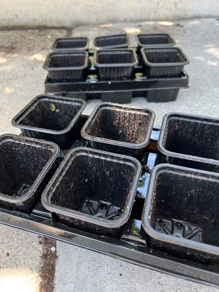 Photo of free Plant/garden pots (Juno Beach.Fl) #3