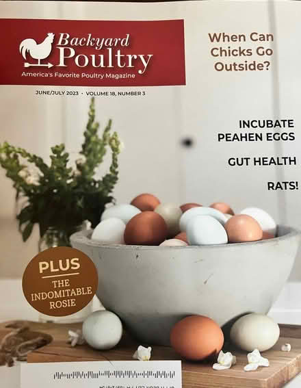 Photo of free ~10 Current Chicken Magazines (Upper Black Eddy, PA 18972) #1