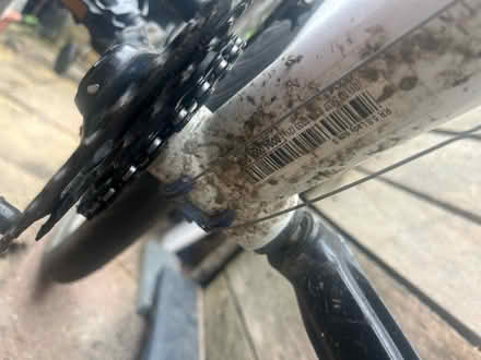 Photo of free Rocketrider 5.0 Bike Ladies (BR3 Beckenham/Penge) #4