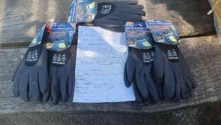 Photo of free Artic winter gloves (Lower Green TN2) #1
