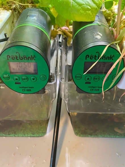 Photo of free Fish Aquatic Hydroponics Set Up (Thornton, co) #3