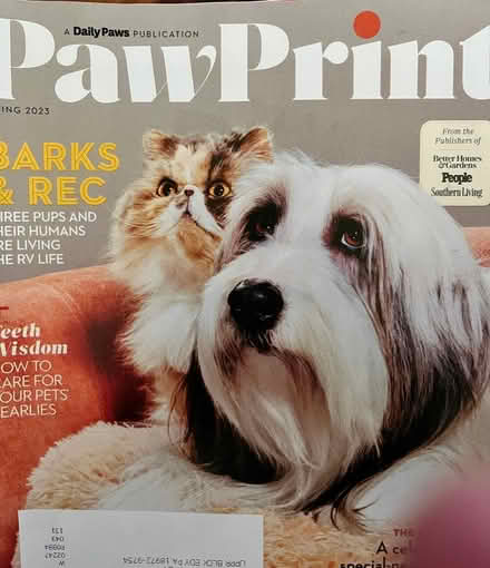 Photo of free ~10 Current Dog Lover Magazines (Upper Black Eddy, PA 18972) #3
