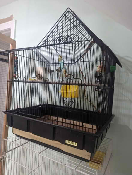 Photo of free 2 small bird cages (02135) #1