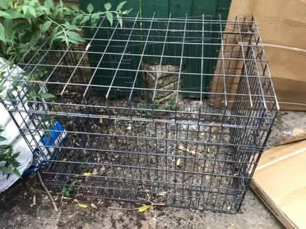 Photo of free Dog crate (West Midlands B31) #1
