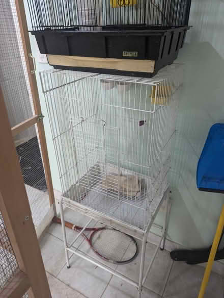 Photo of free 2 small bird cages (02135) #2