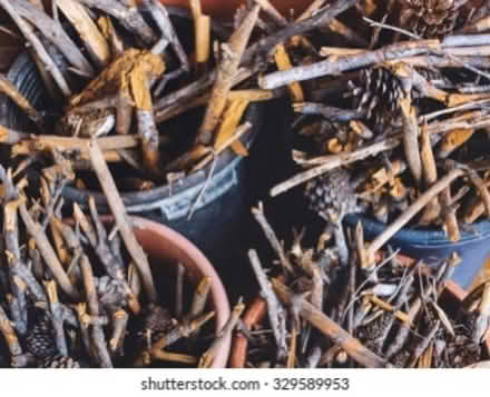 Photo of Wood sticks/ logs (Gravesend DA12) #1