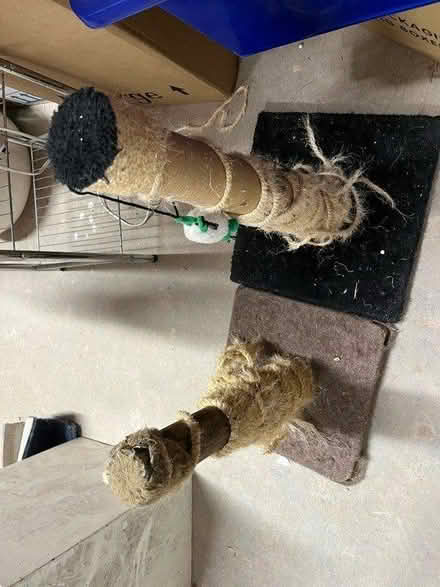 Photo of free Old Cat Scratch Poles (PR4 Wrea Green) #2