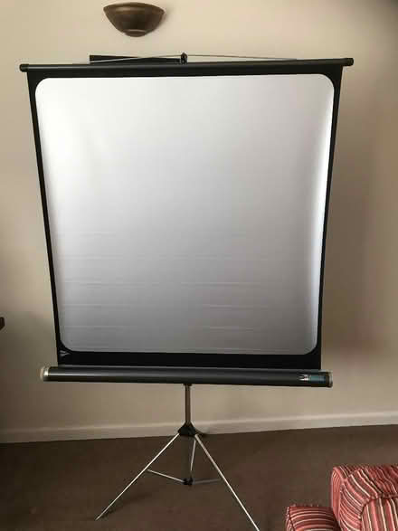Photo of free Projector screen (Lady Bay NG2) #1