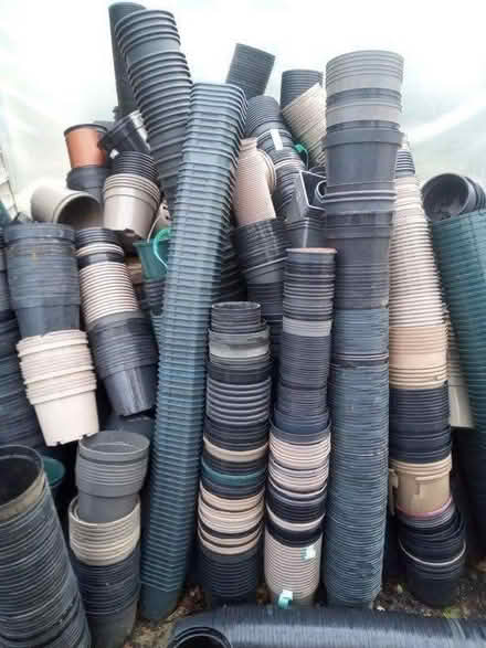 Photo of free Plastic plant pots (Pulborough) #1