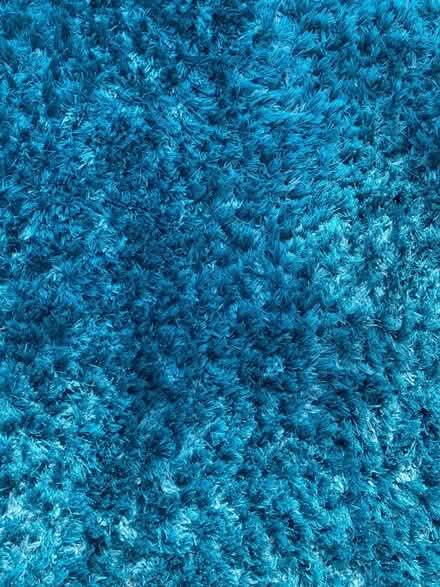Photo of free Turquoise large rug (Watford WD25) #2