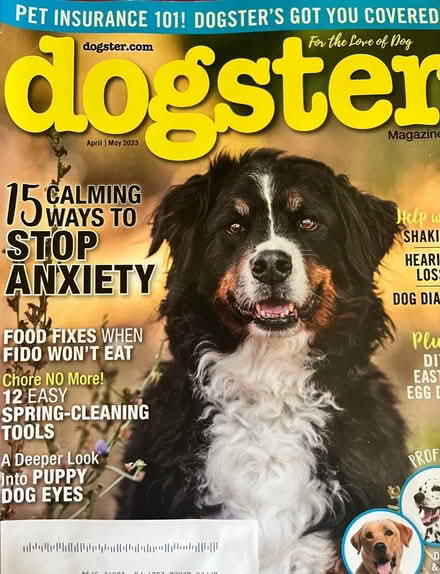 Photo of free ~10 Current Dog Lover Magazines (Upper Black Eddy, PA 18972) #1