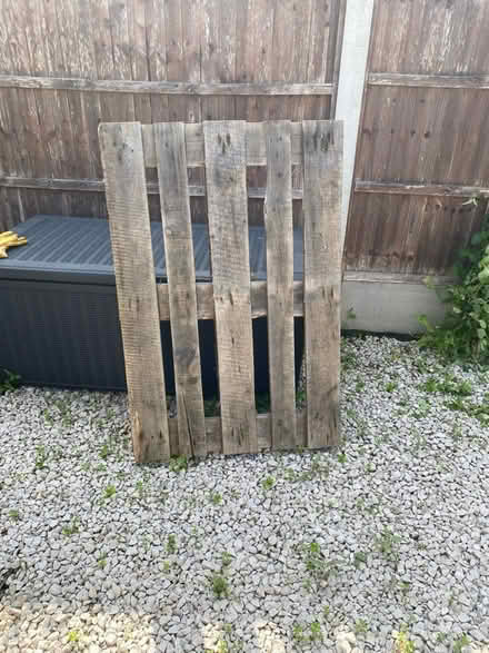 Photo of free Euro pallet (Chelmsford CM1) #1