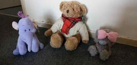Photo of free Teddy bears (Bradford BD14 6) #1