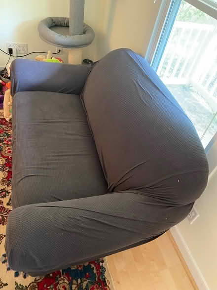 Photo of free Pull out couch (twin) (Ten mins from Cville downtown) #4