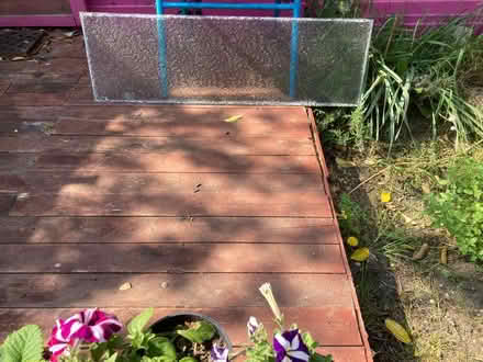 Photo of free Patterned glass panel (Winton) #1