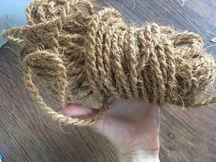 Photo of free Thick coir twine (Berrylands KT5) #1