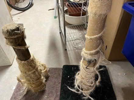 Photo of free Old Cat Scratch Poles (PR4 Wrea Green) #1