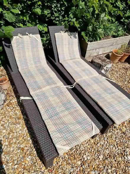 Photo of free Lounger Cushions (Bramber BN44) #1