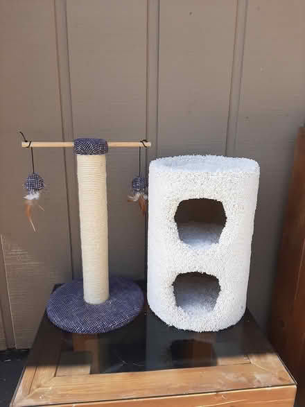 Photo of free Cat condo and cat toy/scratcher (Novato, CA) #1