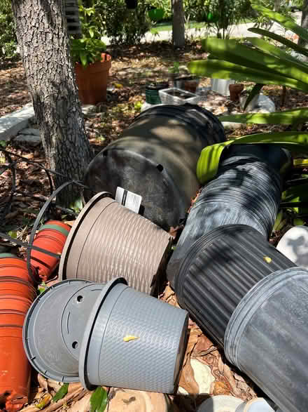 Photo of free Plant/garden pots (Juno Beach.Fl) #2