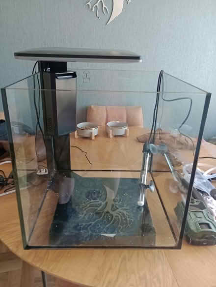 Photo of free Aquarium (Park Drive TN34) #3