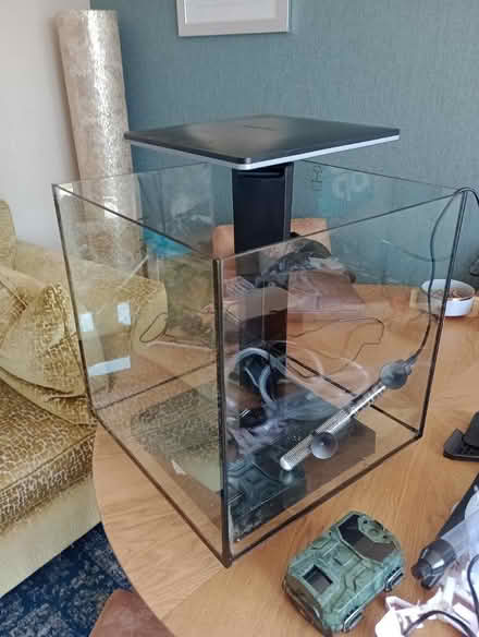 Photo of free Aquarium (Park Drive TN34) #2