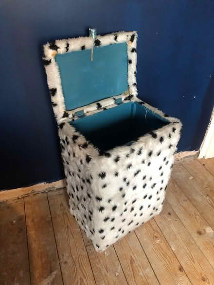Photo of free Hideous laundry basket (Walkley, S6) #3