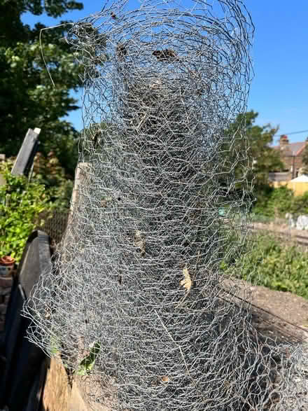 Photo of free Chicken wire (BR3 Beckenham/Penge) #1