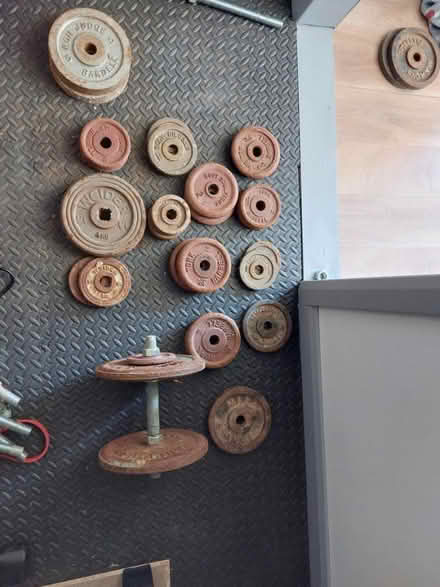 Photo of free 1 inch weight plates (Farlington PO6) #1