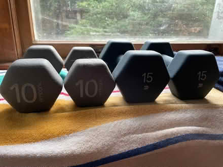 Photo of free 10 & 15lb dumbbells (Maple & Greenleaf) #1