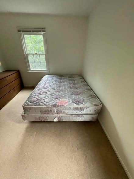 Photo of free Bed Frame, Box Spring, Mattress (Glencarlyn) #4