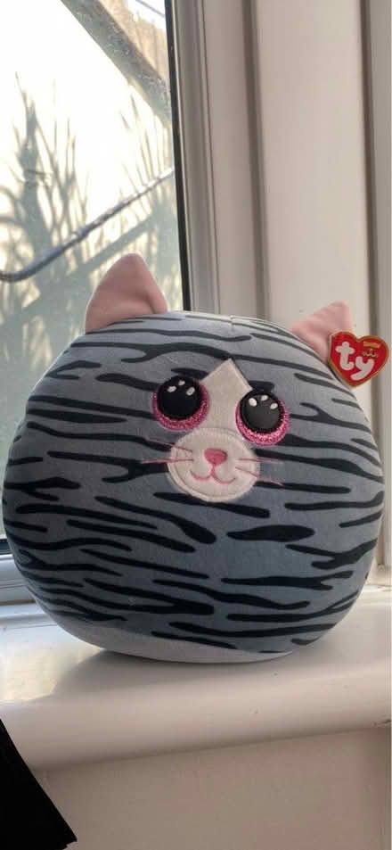 Photo of free Stuffed cat (Leyton) #1