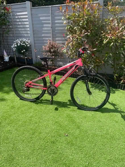 Photo of free Girls Bicycle’s (14” / 18” / 24”) (Cornamaddy, Athlone) #3