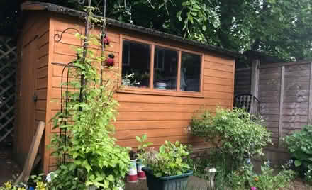 Photo of 10x6 or 12x6 Shed (Solihull (Centre) B91) #1