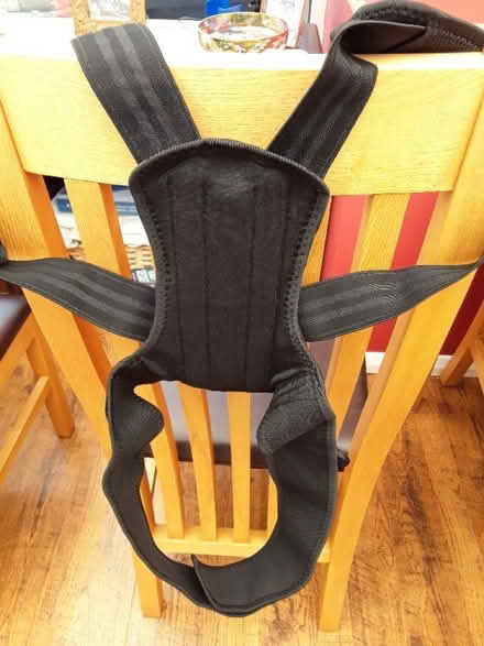 Photo of free Back support brace (Barling SS3) #1