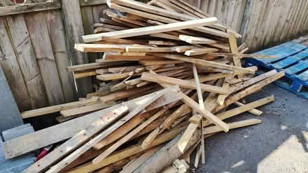 Photo of free 50x25mm timber. Firewood or project (Exmouth, EX8) #1