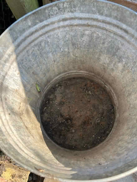 Photo of free Galvanised steel bin/planter/burner (BR3 Beckenham/Penge) #2
