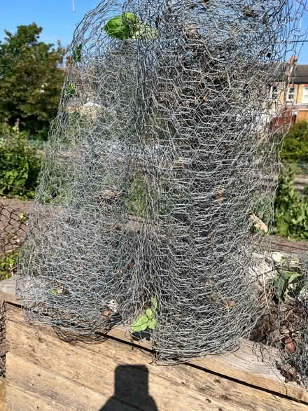 Photo of free Chicken wire (BR3 Beckenham/Penge) #2