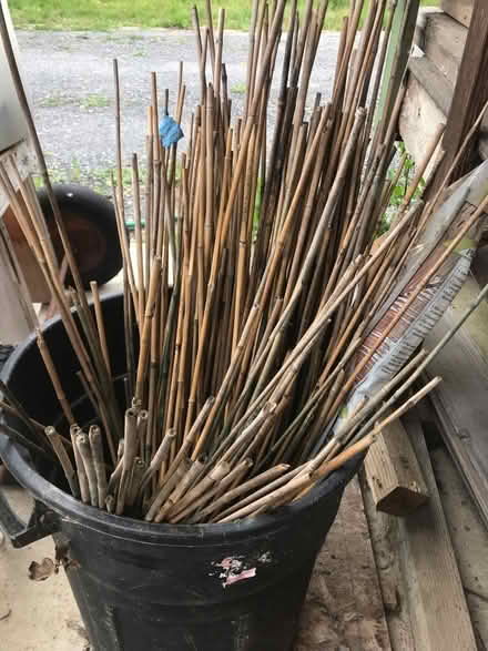 Photo of free Bamboo garden stakes (South Sebastopol) #1